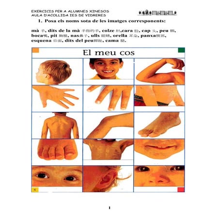 Cos humà. alumnat xinès