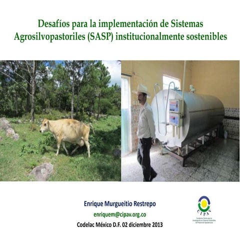 11  desafíos para la implementación de sistemas agrosilvopastoriles (sasp) in...