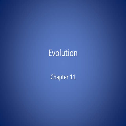 #11 evolution
