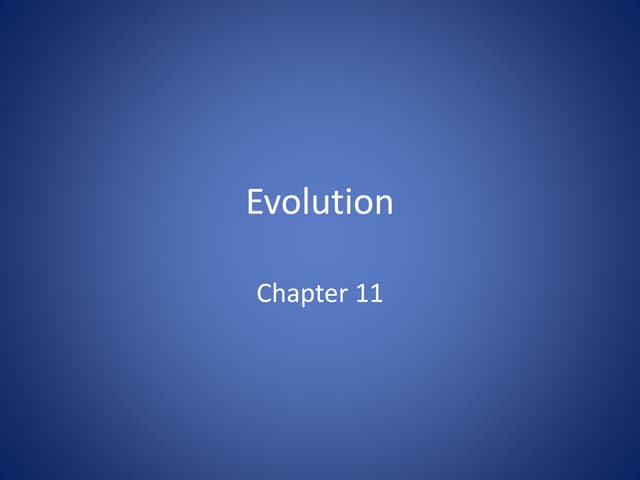 #11 evolution