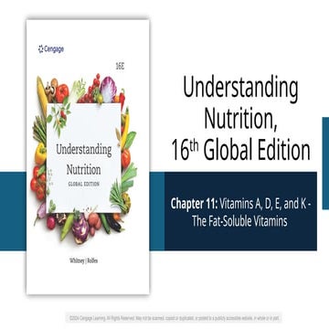 11 fat soluble Vitamins maker Khulna .pptx