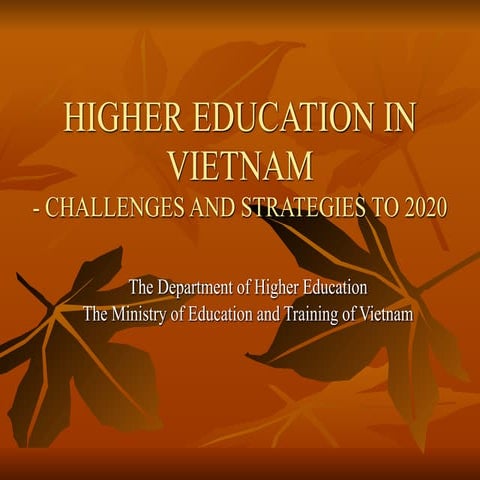 11 higher education in vietnam