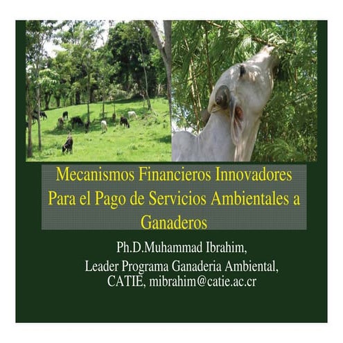 Mecanismos financieros innovadores para el pago por servicios ambientales a p...