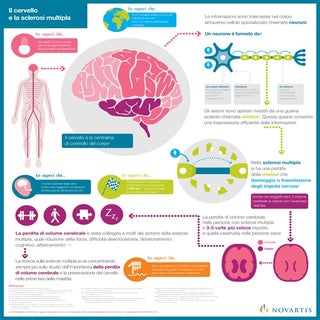 11 infografica cervello_in_sm