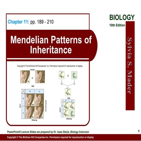 11 Lecture Animation Ppt