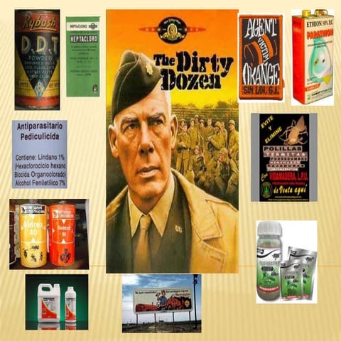 LOS DOCE SUCIOS. PESTICIDAS PROHIBIDOS.