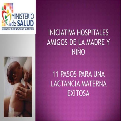 11 Pasos de la Lactancia Materna Exitosa, Lic. Elizabeth Cañipa.pptx