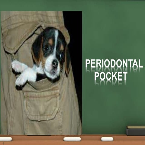 (11) PERIODONTAL POCKET lecture.pptx