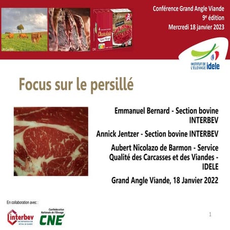 Focus sur le persillé
