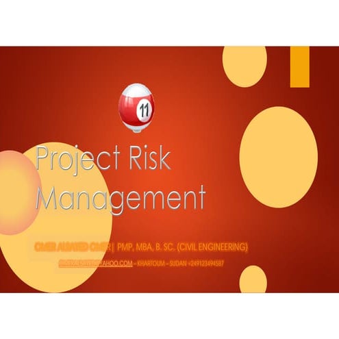 11 project risk management