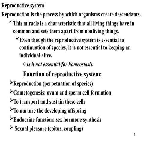 Comprehensive Overview of the Male Reproductive System and ...