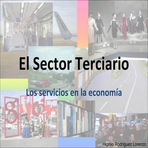 11 sector terciario