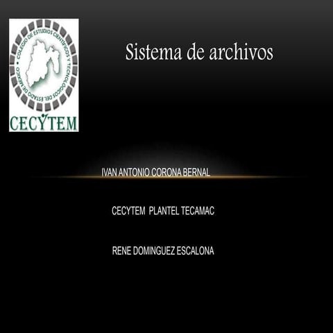 11 sistema de archivos