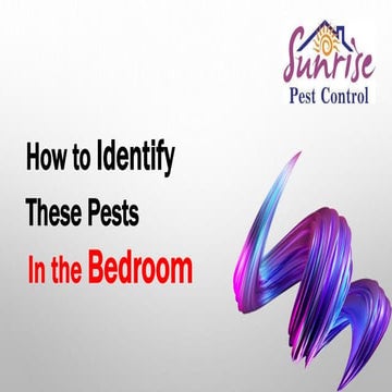 How To Identify These Pests In Your Bedroom? | PPTX