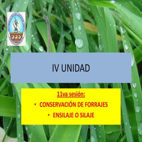 11 va.sesión,presentación,mara