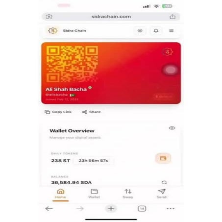 How To Sell Sidra Coins In China - Rate $500