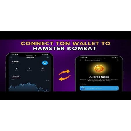 how to successfully withdraw hamster tokens to TON - WALLET