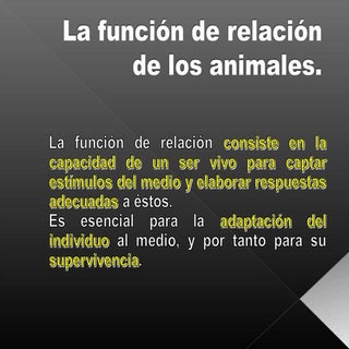 12.la relacion en animales