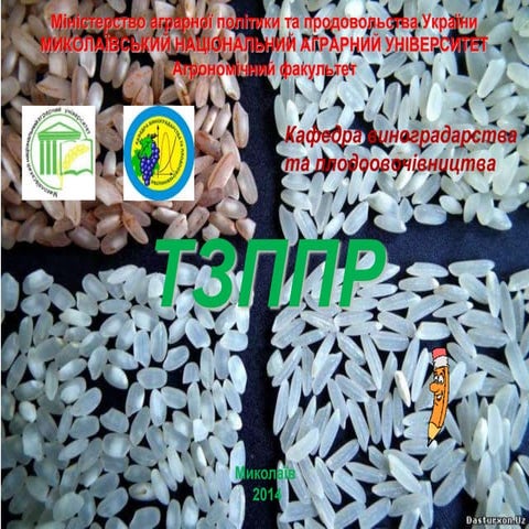 тзппр лекція 12