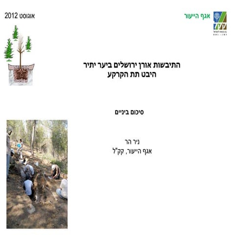 התייבשות אורן ירושלים ביער יתיר היבט תת הקרקע - סיכום 2012