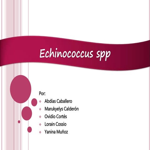 Echinococcus spp