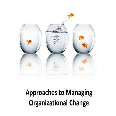 Approaches to managing organizational change -  Organizational Change and Dev...