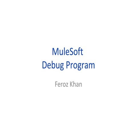 Mulesoft Filters