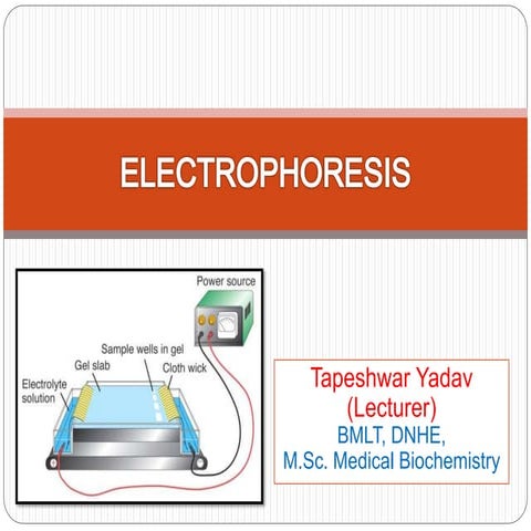 Electrophoresis