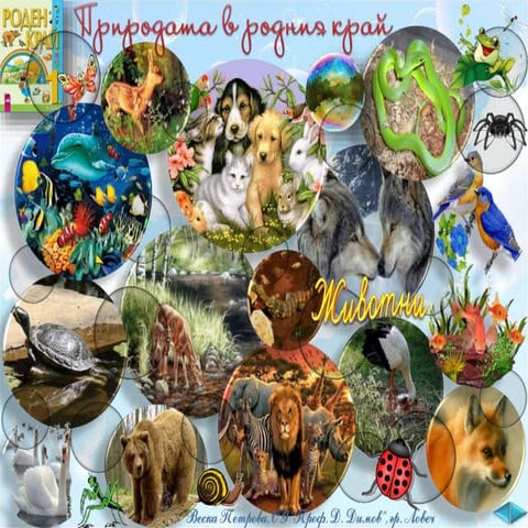 12. Животни, Групи животни - РК, Просвета - В. П.