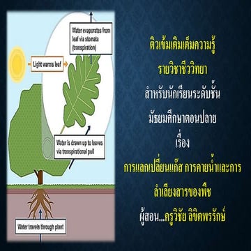 12.การคายน้ำและการแลกแก๊สลำเลียงพืช