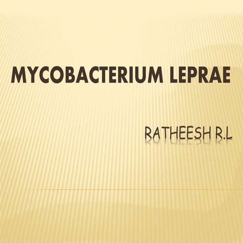 12. mycobacterium leprae