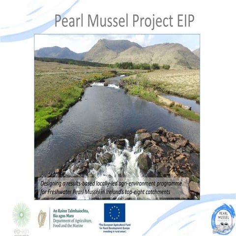 12. Pearl Mussel Project EIP - Derek McLoughlin, Pearl Mussel Project