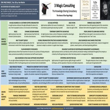 AN OVERVIEW OF BUSINESS AGILITY