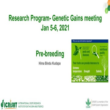 Research Program Genetic Gains (RPGG) Review Meeting 2021: Pre-breeding By Dr...