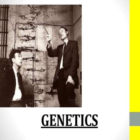 12. genetics