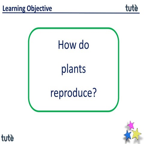 7th CBSE Reproduction In Plants
