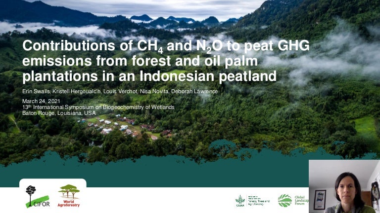 thumbnail of  Contributions of CH4 and N2O to peat GHG emissions from forest and oil palm plantations in an Indonesian peatland