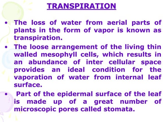 Transpiration | PPTX