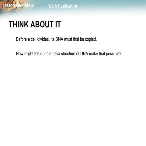 "Unraveling the Essentials of Life: An In-Depth Exploration of DNA Replication and Transcription Processes"