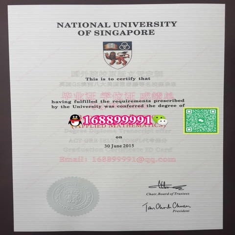 National University of Singapore Diploma Degree Transcript | PDF