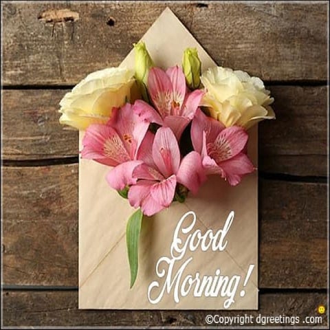 12. staining Staining always involves the visual labeling of some biological ...