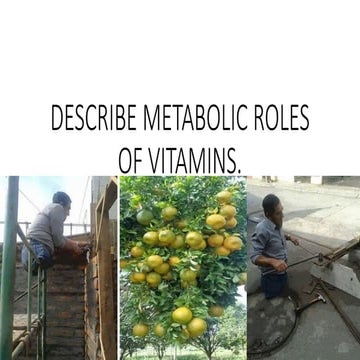 12.METABOLIC ROLE OF VITAMINS -1 has part 2 | PPTX