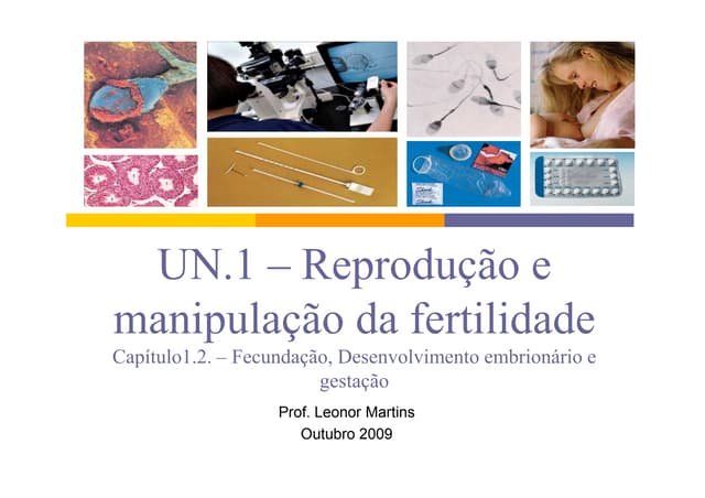 12.FecundaçãO, Desenvolvimento Embr...