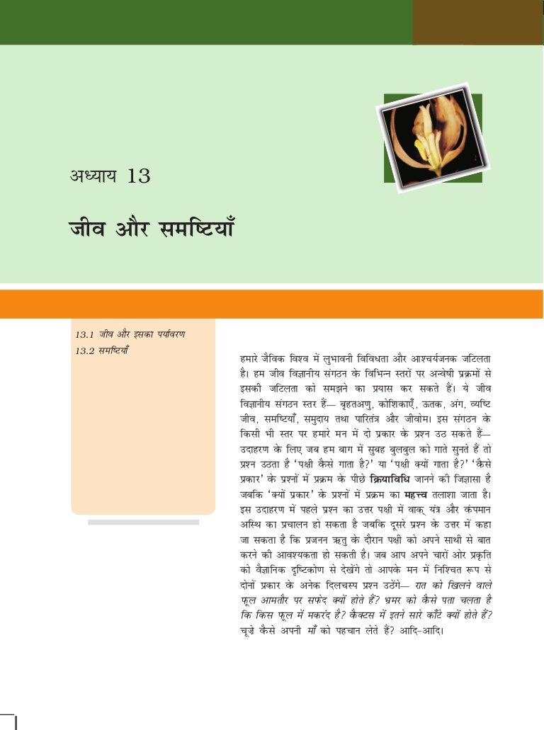 12 biologyncerthindimediumchapter (13)