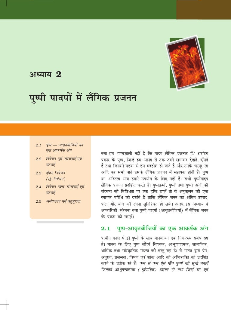 12 biologyncerthindimediumchapter (2)