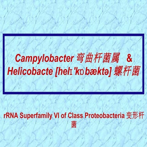 12 campylobacter helicobacter