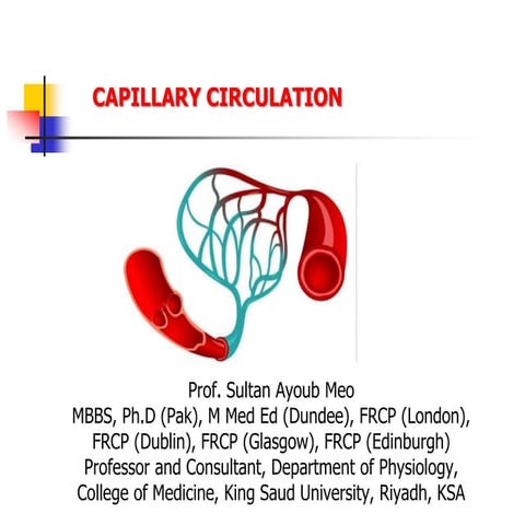 capillary Circulation