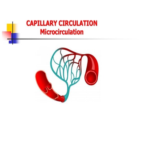 Blood capillary vs Lymphatic capillary | PPTX