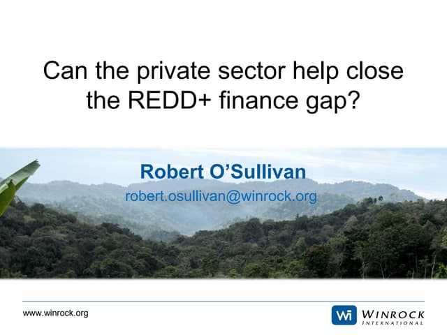 Can the private sector help close the REDD+ finance gap?