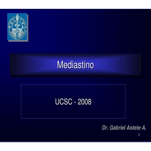 12. mediastino